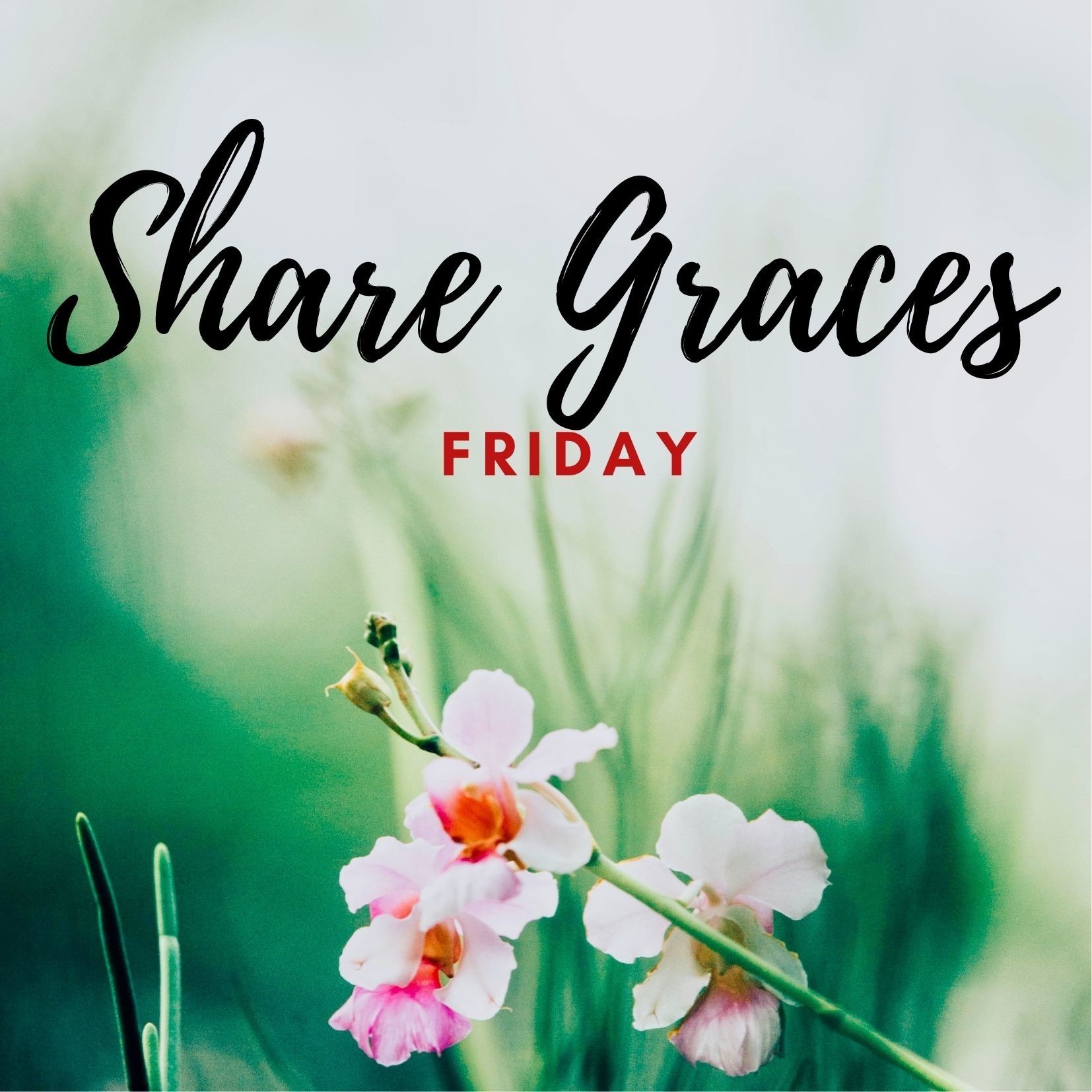 Copy Of Copy Of Share Of Graces