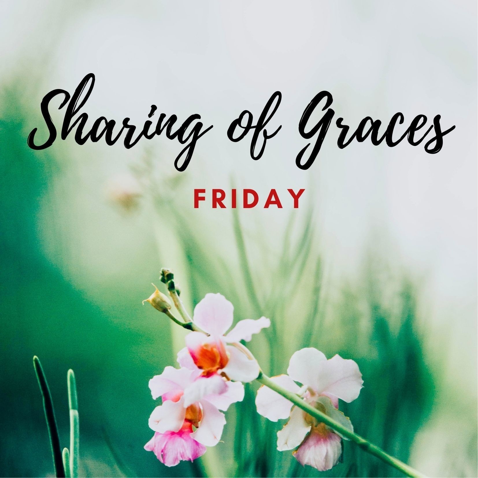 Copy Of Copy Of Share Of Graces
