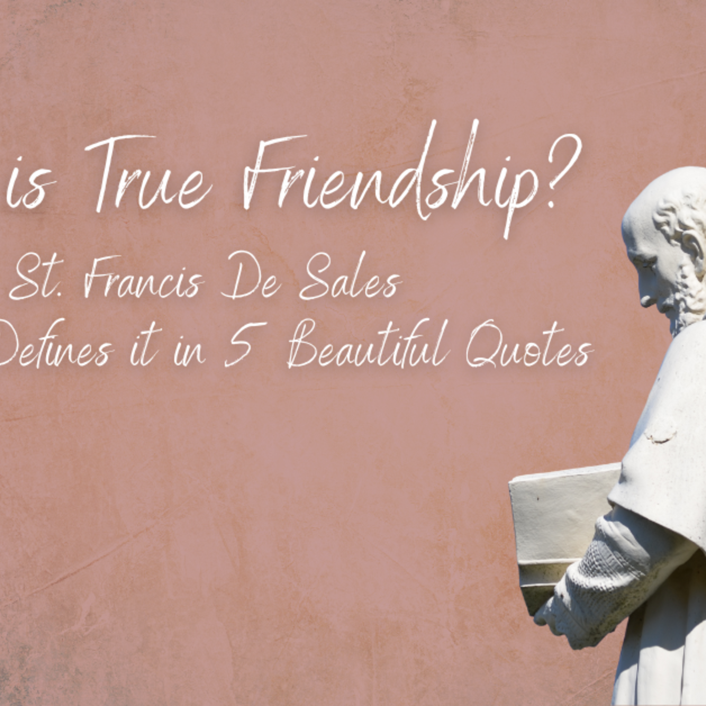 St. Francis De Sales article